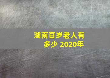 湖南百岁老人有多少 2020年